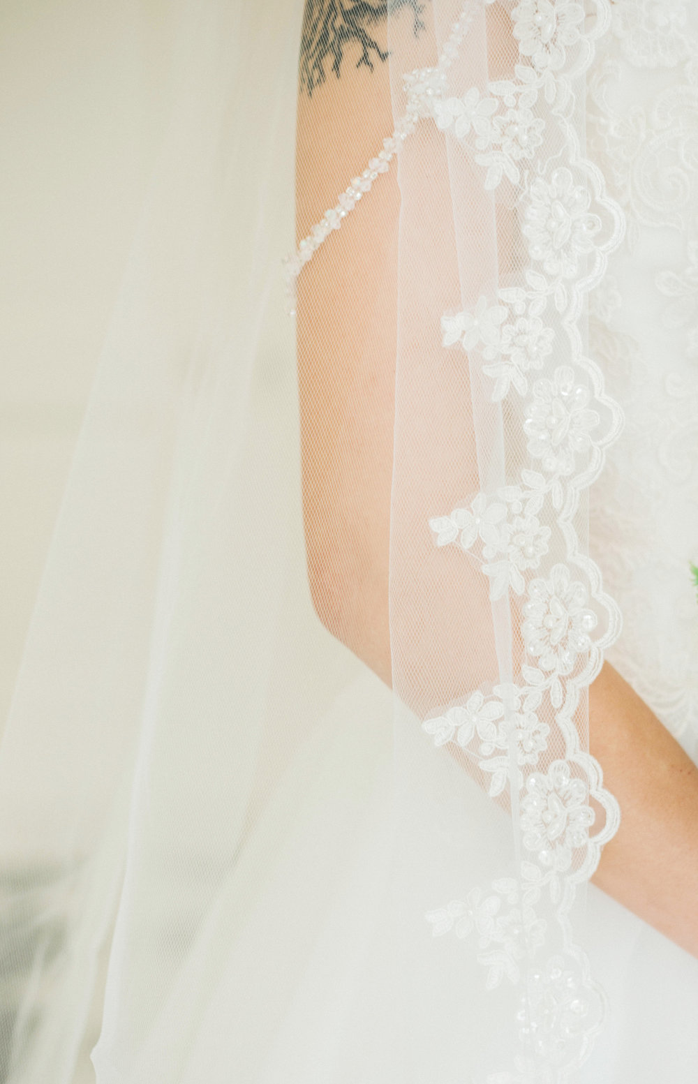 A lace cathedral length wedding veil.