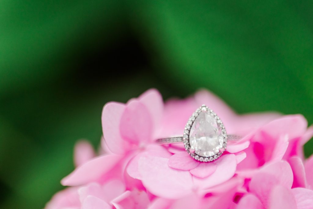An engagement ring on a hydrangea