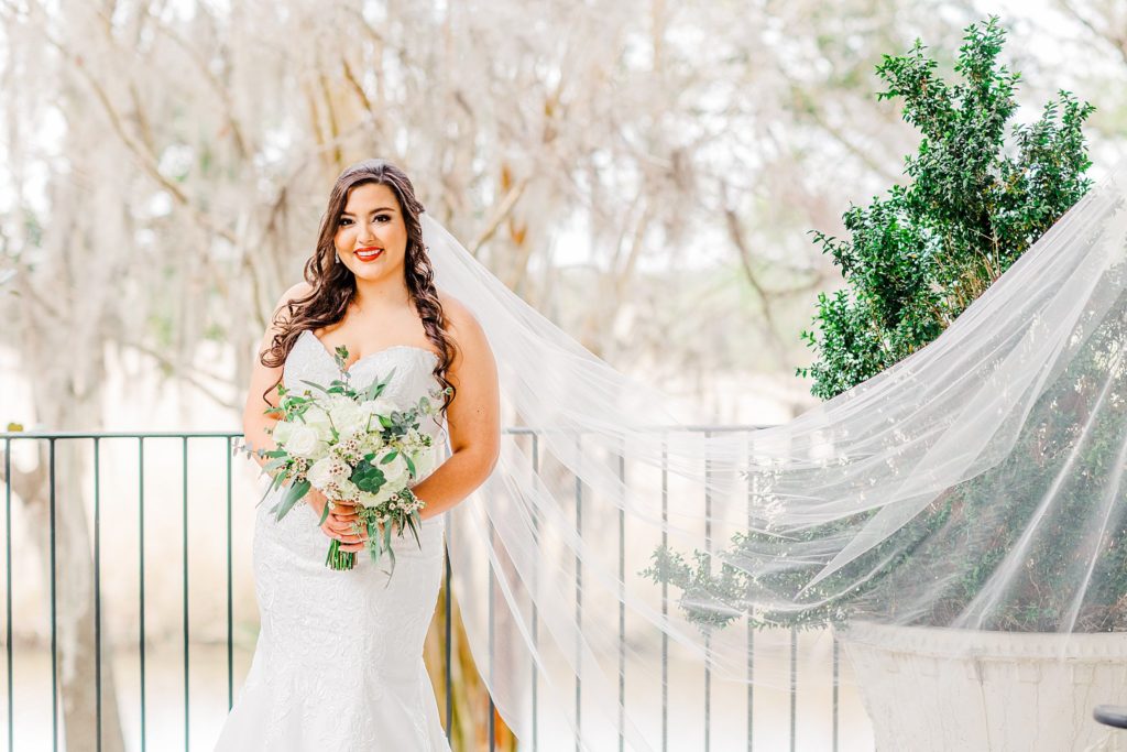 A beautiful veil shot by Charleston wedding photographer Tierney Riggs