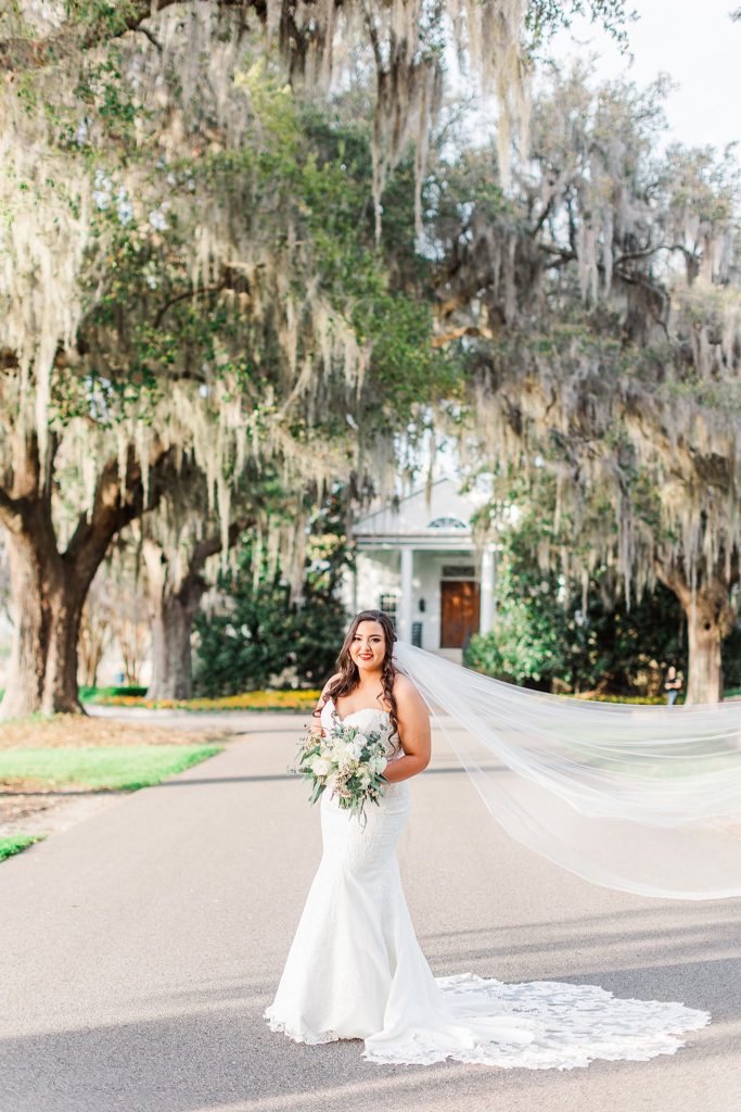 A bride standing under spanish moss captured by Charleston photographer Tierney Riggs